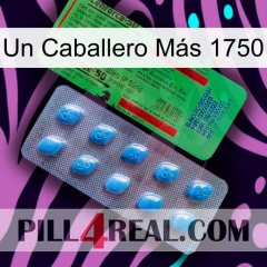 Un Caballero Más 1750 new03